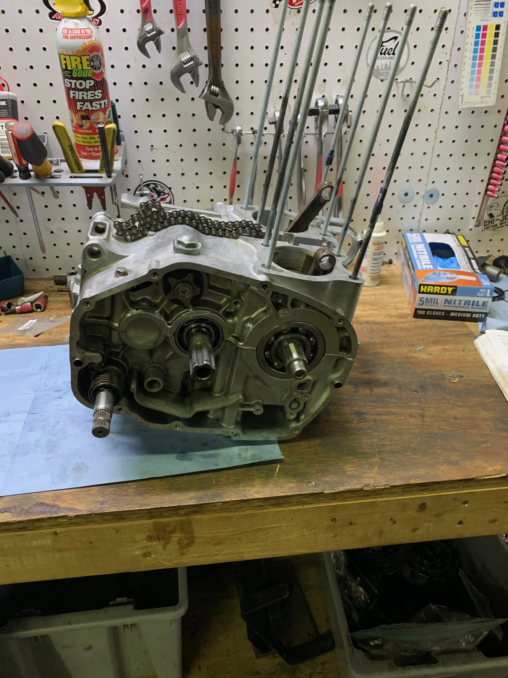 Closed engine case with the cam chain resting on top